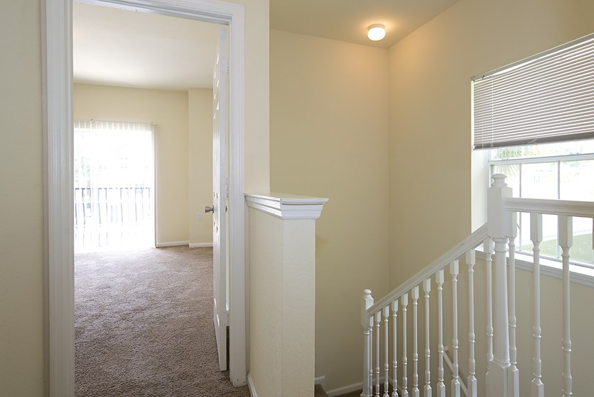 Magnolia Place Townhome Apartments in Gainesville, FL Swamp Rentals