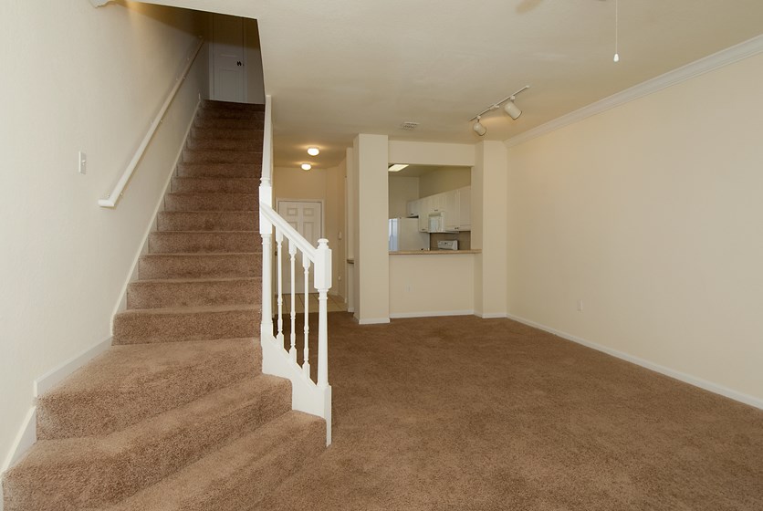 Magnolia Place Townhome Apartments in Gainesville, FL Swamp Rentals