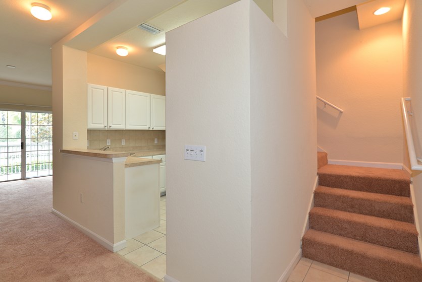 Magnolia Place Townhome Apartments in Gainesville, FL Swamp Rentals