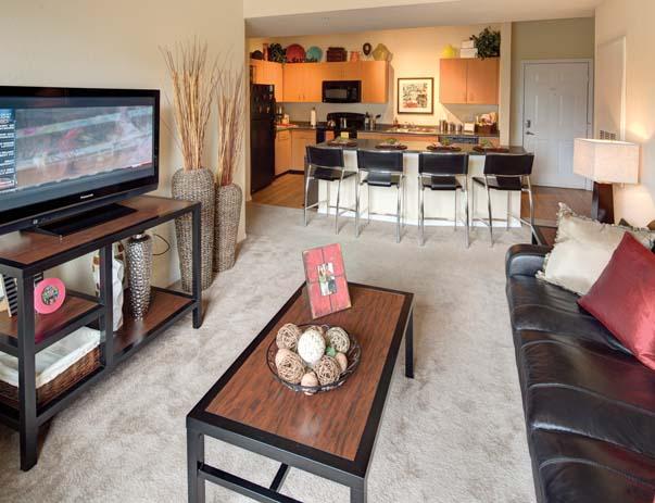 2nd Avenue Centre Apartments In Downtown Gainesville Fl Swamp Rentals Fully Furnished Common Areas Include Leather Style Sofa